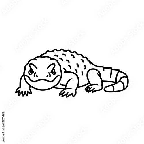 Illustration of a spiny tailed lizard with detailed scales in a line drawing style facing forward