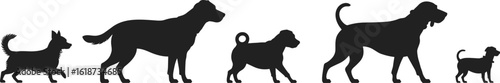 dog silhouettes vector, pet animal outline, dog breeds clipart, various dog poses, black dog shapes, domestic animals design, canine silhouettes collection