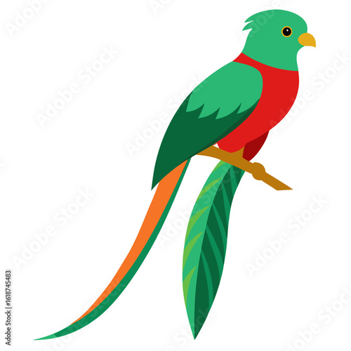 Quetzal bird perched on branch vector on white background.