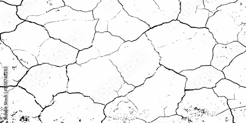 A high-contrast, black and white texture overlay of extensively cracked and distressed dry ground, featuring jagged, organic fissures and subtle granular details against a stark white background.