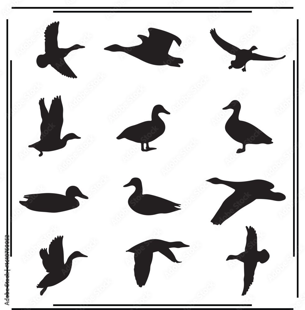 Fototapeta premium Duck Silhouettes Set - Various Duck Poses, Flying and Standing Duck Icons, Bird Graphics for Nature, Wildlife, and Creative Use