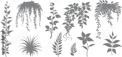 Silhouette ivy vine vector, elegant black floral decorative border or corner design element of leaves in pretty layout. Hanging ivy vine silhouette. vector illustration