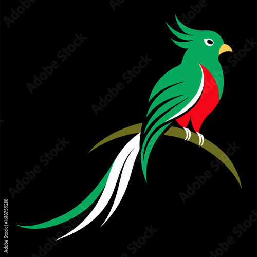 Quetzal bird perched on branch vector on black background.