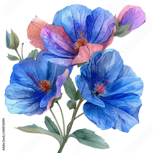 Garden Pea Flower, watercolor painting vector, isolated on a white background.