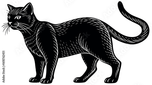 Elegant black cat standing profile view with detailed fur texture feline animal