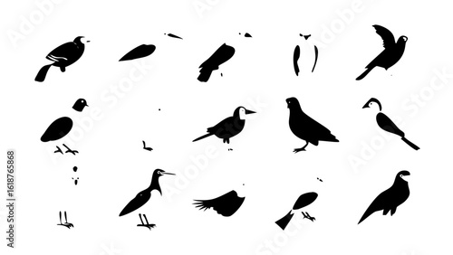 Stylized Black Bird Icons Featuring Eagle, Owl, Parrot, and More — Modern Flat Avian Silhouettes on White Background