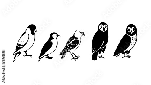Stylized Black Bird Icons Featuring Eagle, Owl, Parrot, and More — Modern Flat Avian Silhouettes on White Background