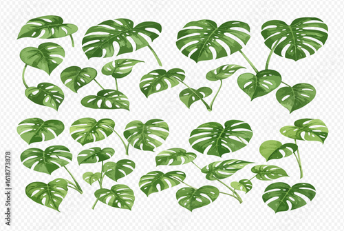 Watercolor illustration featuring a collection of vibrant green Monstera leaves and stems in various sizes and orientations, set against a transparent background.