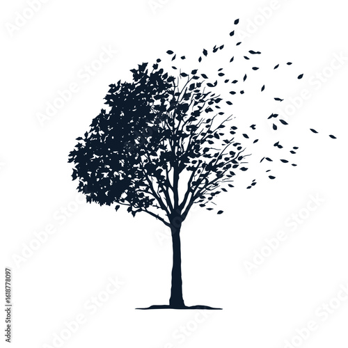 Silhouette of a tree with leaves blowing away.