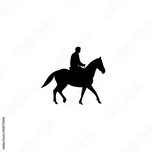 Silhouette of a horse and rider, depicting the grace of equestrian sport.
