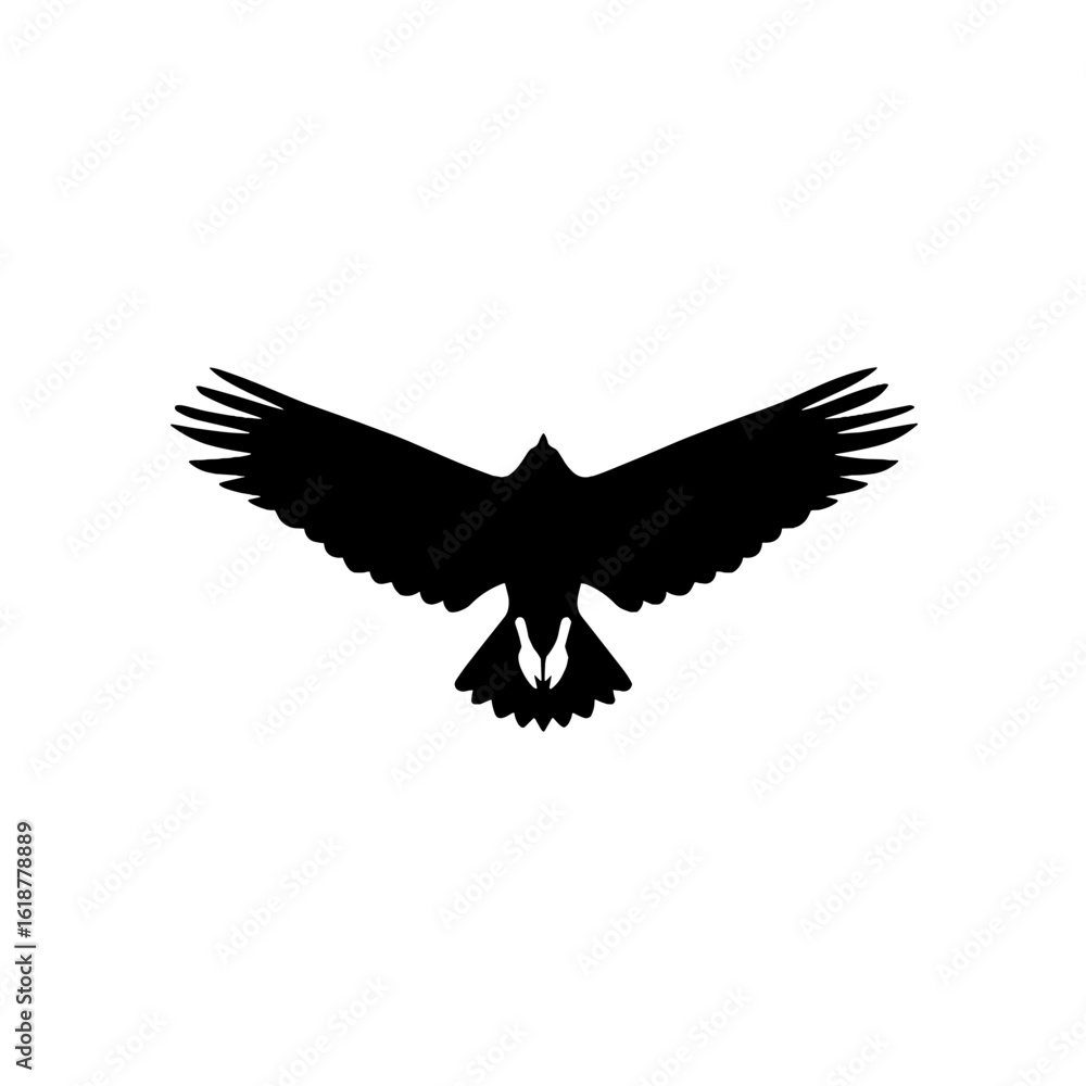 Obraz premium A majestic bird soaring freely against a clear sky.