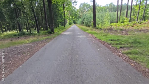 Legs in inline skates boots are moving on abandoned asphalt road in forest. 