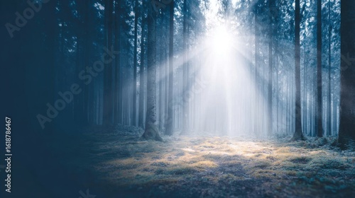 shafts of light piercing through trees, moss-covered ground, ethereal mood, quiet and mystical