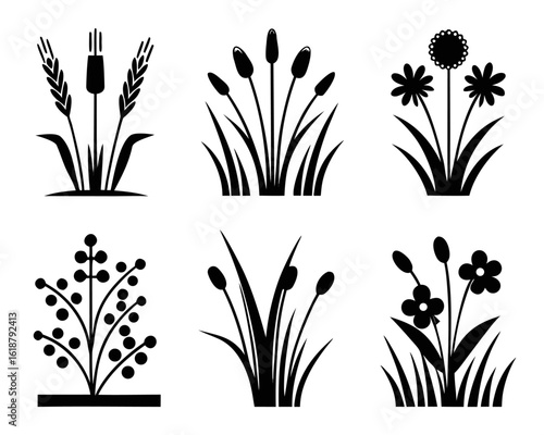 Collection of hand drawn botanical elements featuring grasses and various plant species in a stark black and white artistic style