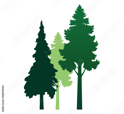 Clean cedar and poplar tree silhouettes isolated on white background