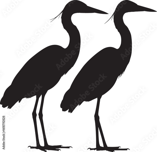 Two elegant herons standing together silhouette