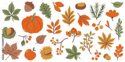 Set of autumn leaves and branches from different trees: maple, oak, aspen, chestnut. Simple flat falling yellow, green, brown, orange autumn leaves. Vector illustration on white background.