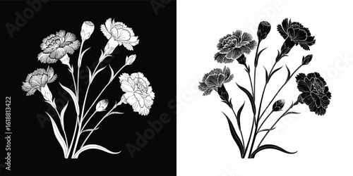 A sketch of carnation flowers with stems and leaves, presented in contrasting black and white versions