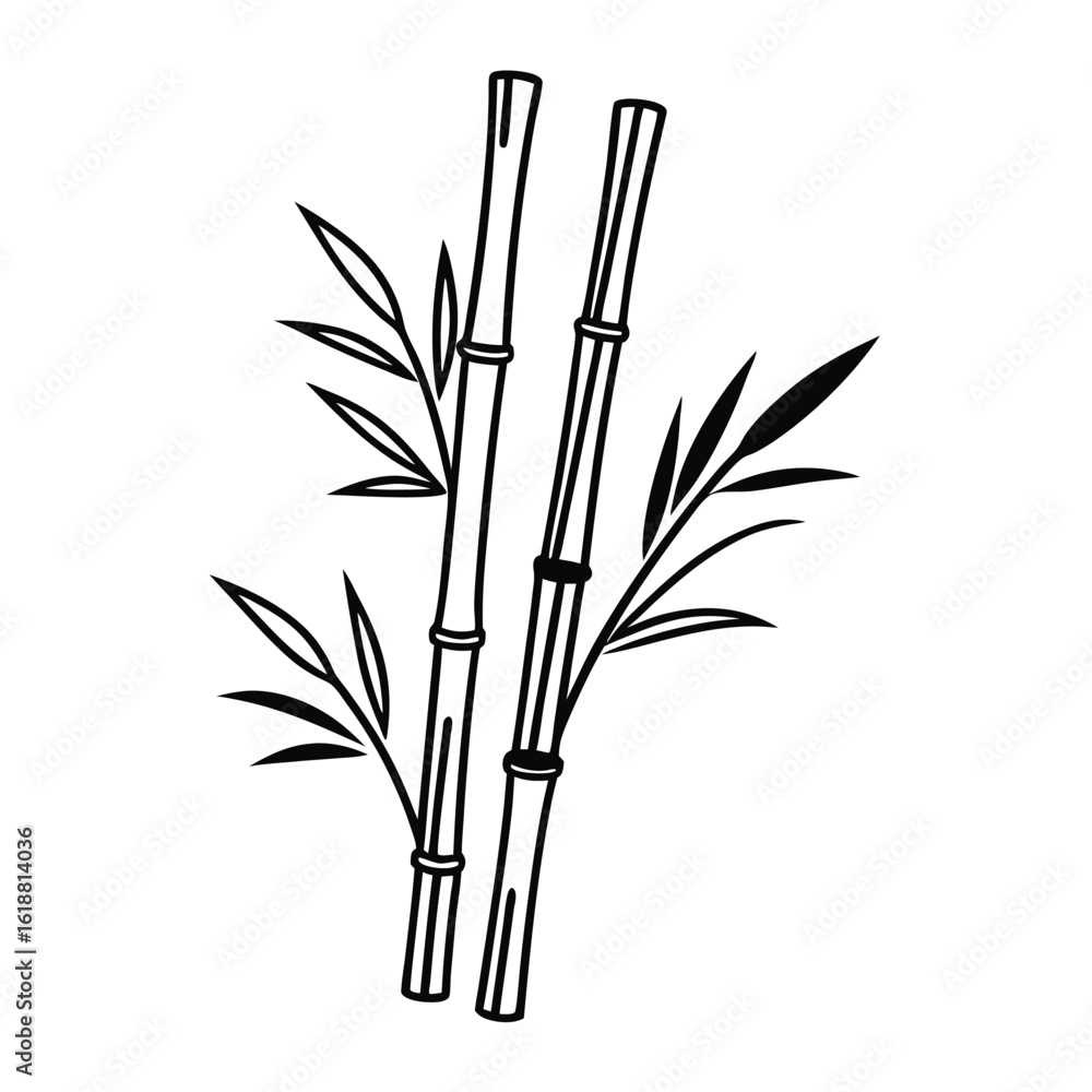 Obraz premium Isolated bamboo plants and leaves form a natural, Asian-inspired set, perfect for designs with a Japanese or Chinese aesthetic