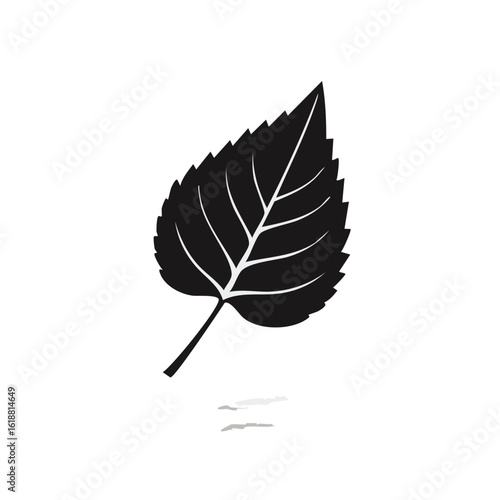 Birch Leaf Silhouette Vector Illustration, Leaf Vector Icon


