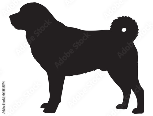 ANATOLIAN SHEPHERD DOG SILHOUETTE