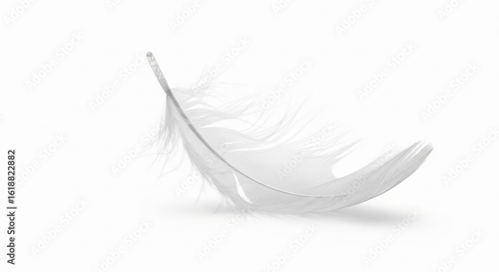 Obraz premium white feather isolated on white