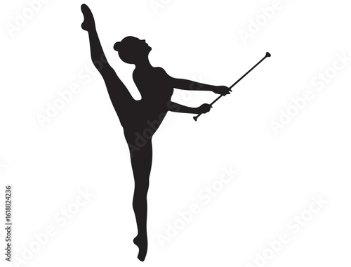 BATON TWIRLING SILHOUETTE 