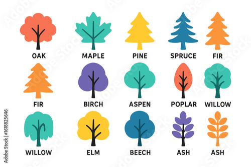 Colorful tree icons set: oak, maple, pine, spruce, fir, birch, aspen, poplar, willow, elm, ash