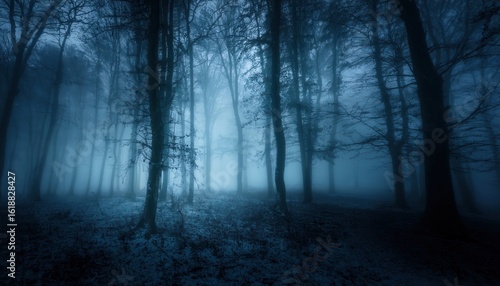 Fototapeta Naklejka Na Ścianę i Meble -  haunting blue forest with bare trees in eerie night fog perfect for horror cover or halloween background

