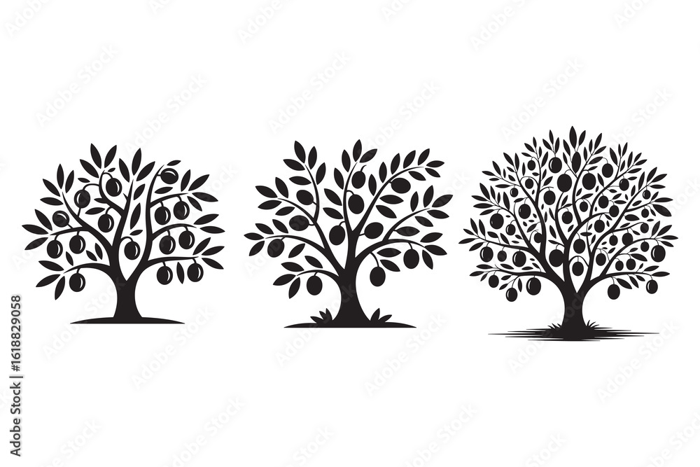 Naklejka premium Stylized fruit trees with leaves and round fruits olive plum