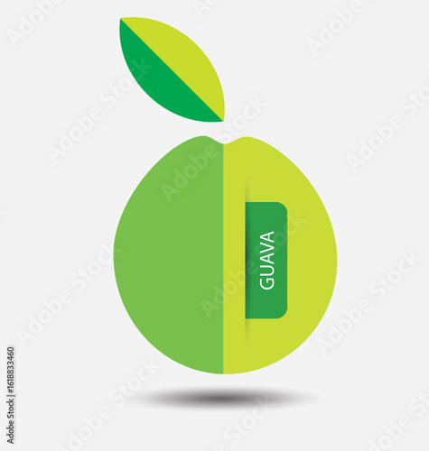 Guava, fruit vector illustration