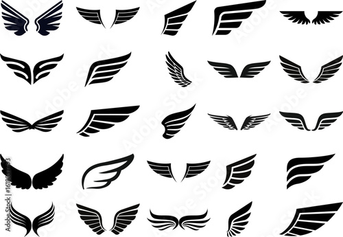 Adobe Illustrator Artwork