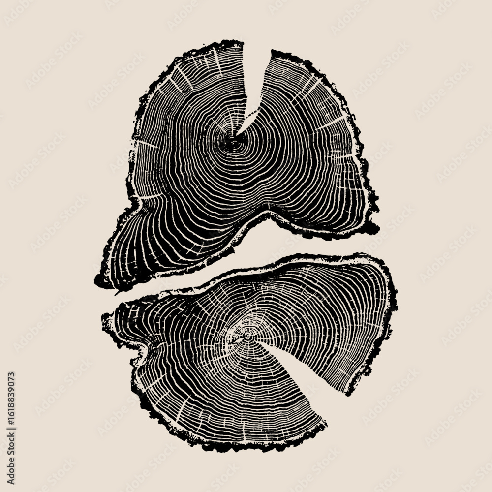Cross-section of a tree trunk with annual growth rings. Wood slice print illustration. Symbolizes age, time, nature, and history. Linocut style.