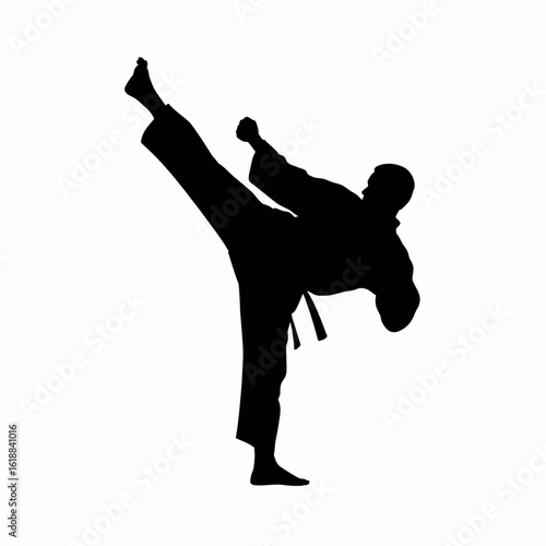 Martial Arts Silhouette of a Kick Technique