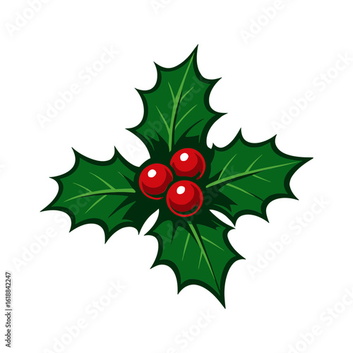 Classic christmas holly with red berries illustration