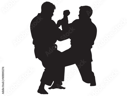 BRAZILIAN JIU JITSU SILHOUETTE