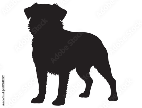 BRUSSELS GRIFFON DOG SILHOUETTE