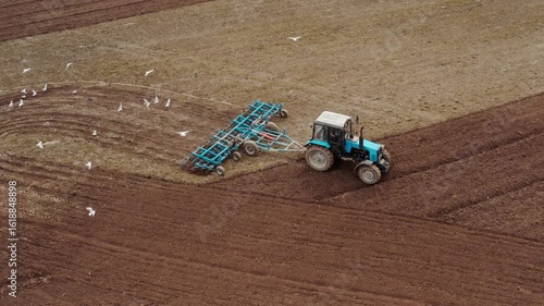 Blue tractor with a grain seeder works in the field. Birds are flying around