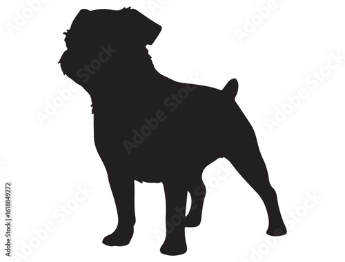 BRUSSELS GRIFFON DOG SILHOUETTE