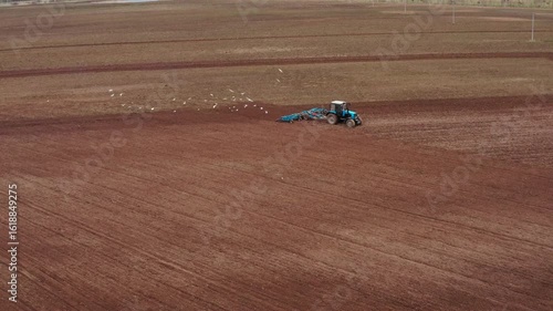 A tractor with a grain seeder is working in the field. Birds are flying around.