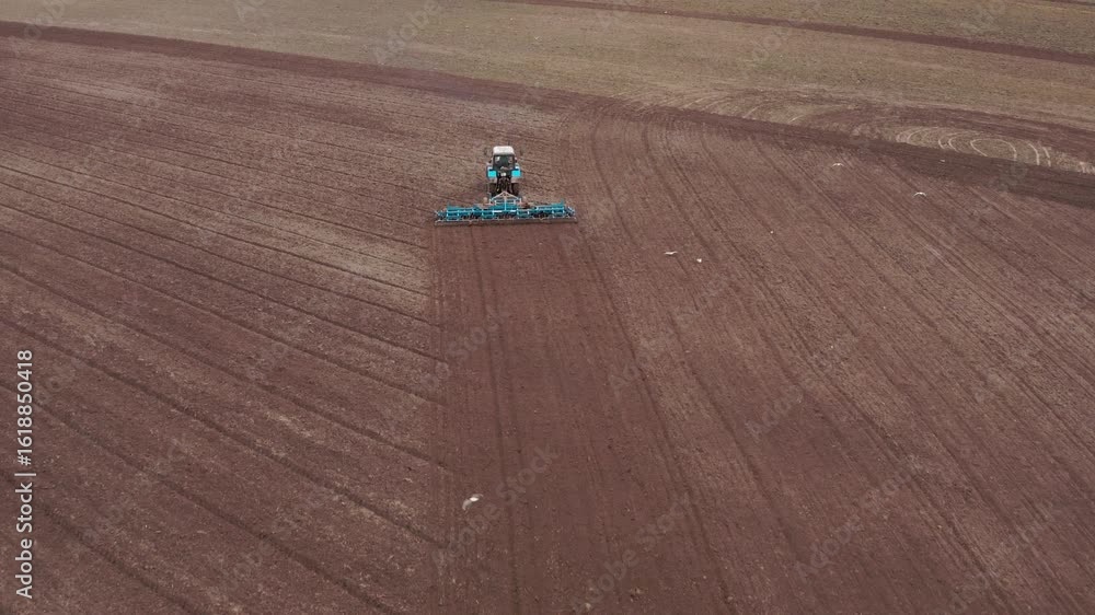 Aerial view of the tractor with a grain seeder is working in the field. Birds are flying around Aerial view of the tractor with a grain seeder is working in the field. Birds are flying around