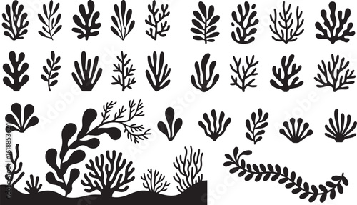 Coral reef or seaweeds vector underwater plant icons. Naive style leaves, algae or fronds. Hand drawn vector ink illustration. Modern style organic corals, aesthetic underwater plants and branches, v2