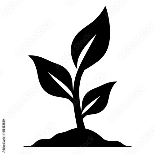 Minimalist plant sprout with leaves growing from soil. Concept of nature regeneration and sustainable farming - eco gardening - agriculture