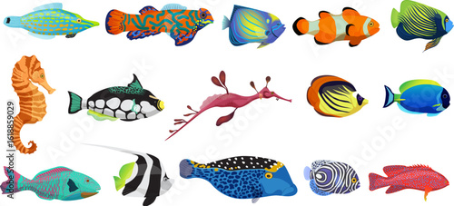 Cute fishes, exotic underwater animal characters set vector illustration. Cartoon marine creatures collection with clownfish seahorse moorish idol isolated white. Aquarium, aquatic life concept