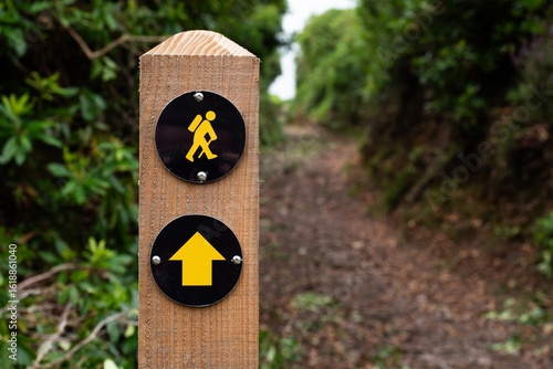 Marking the pathway for hikers through lush greenery on a serene trail under a bright sky