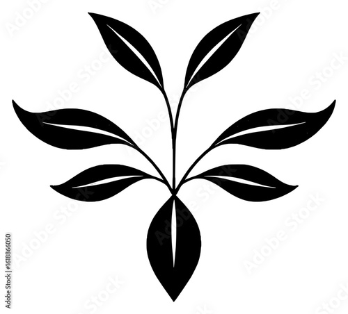 Silhouette of a Leafy Branch with Multiple Leaves