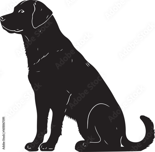 Dog sitting silhouette