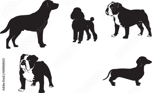 Collection of five dog silhouettes in various breeds isolated on transparent background