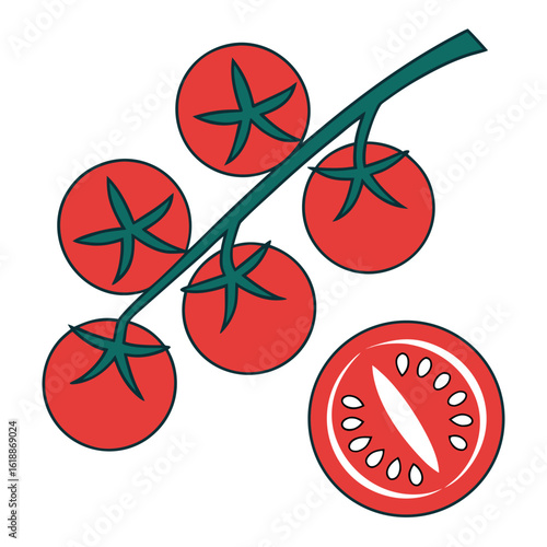 Ripe Red Cherry Tomatoes on Vine with Sliced Tomato vector illustration