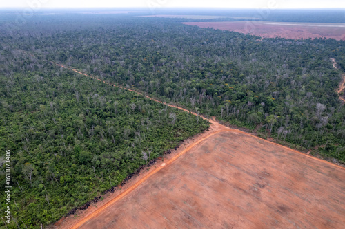 Illegal amazon deforestation drone panoramic aerial view, Mato Grosso, Brazil. Forest trees, soybeans agriculture field land. Concept of climate change, global warming, ecology, environment, nature.